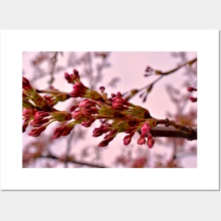 Kaleidoscope Therapy Pink Flower Symbol Posters and Art